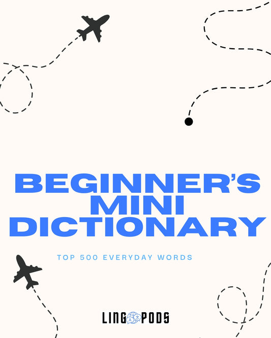 Beginners Mini Dictionary